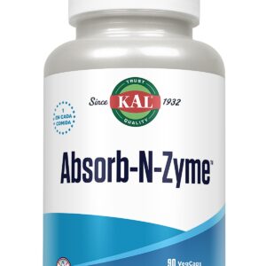 ABSORB-N-ZYME - 90 VEGCAPS