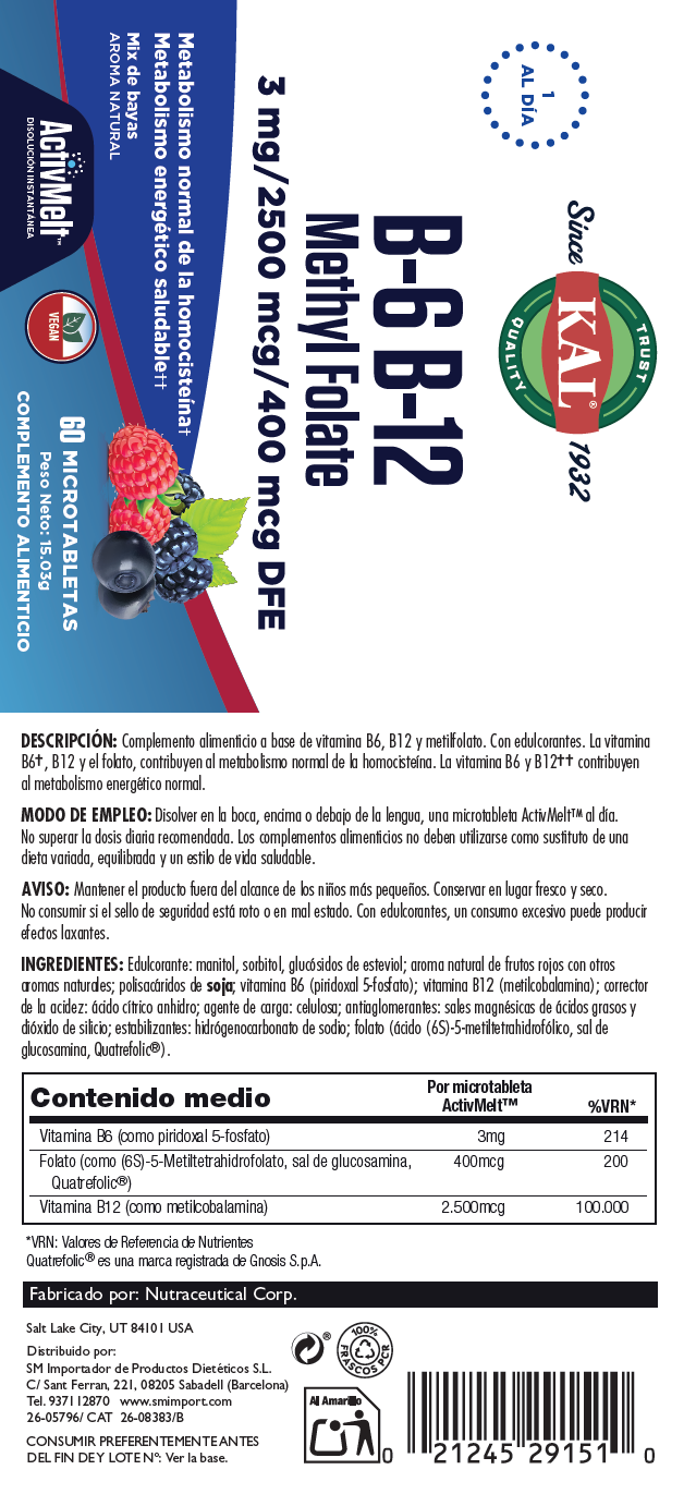 B6 & B12 METHYL FOLATE - 60 MICROTABLETAS - Imagen 2