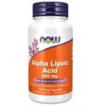 NOW Foods Alpha Lipoic Acid ALA 250 mg - 120 Capsules